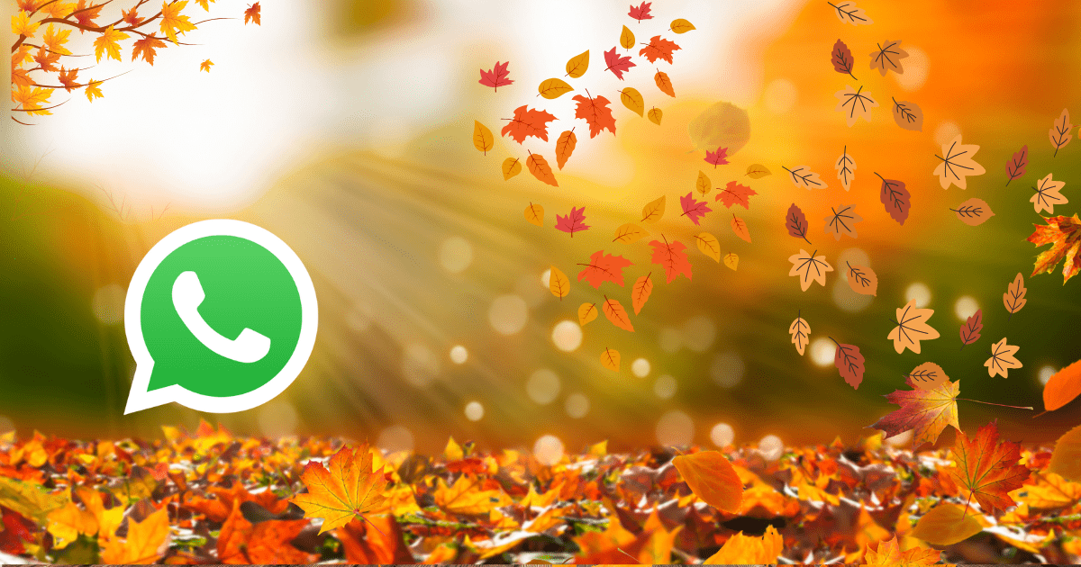 Otoño en WhatsApp