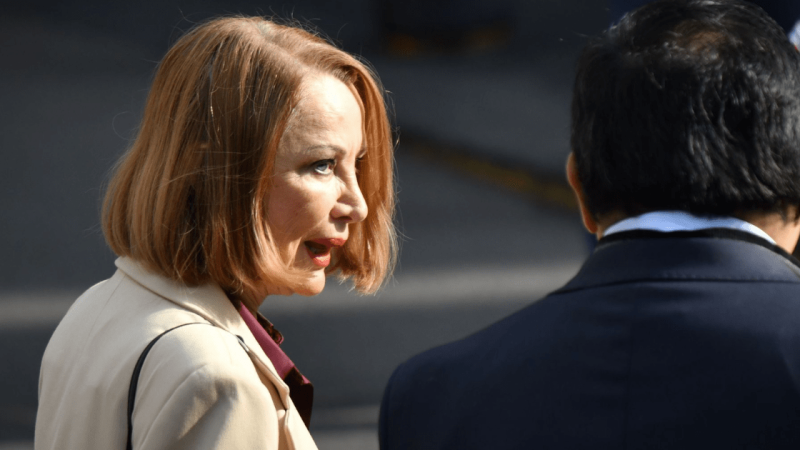 Laura Itzel Castillo Juárez