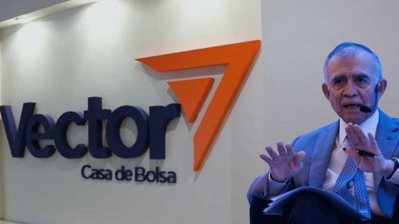 Vector Casa de Bolsa