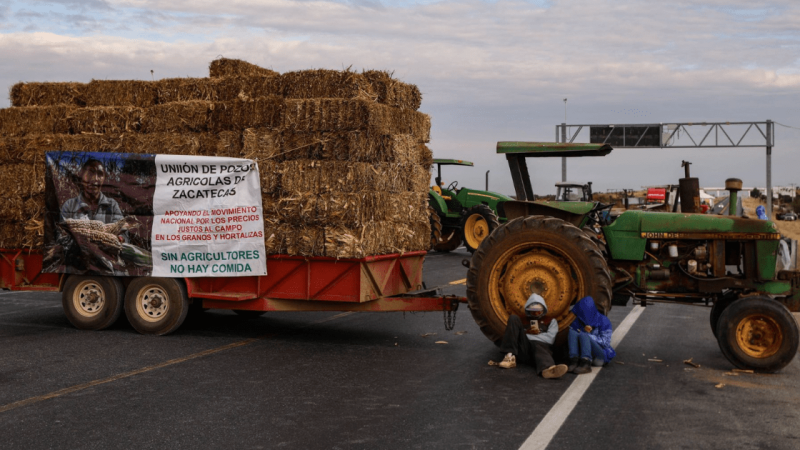Productores agrícolas