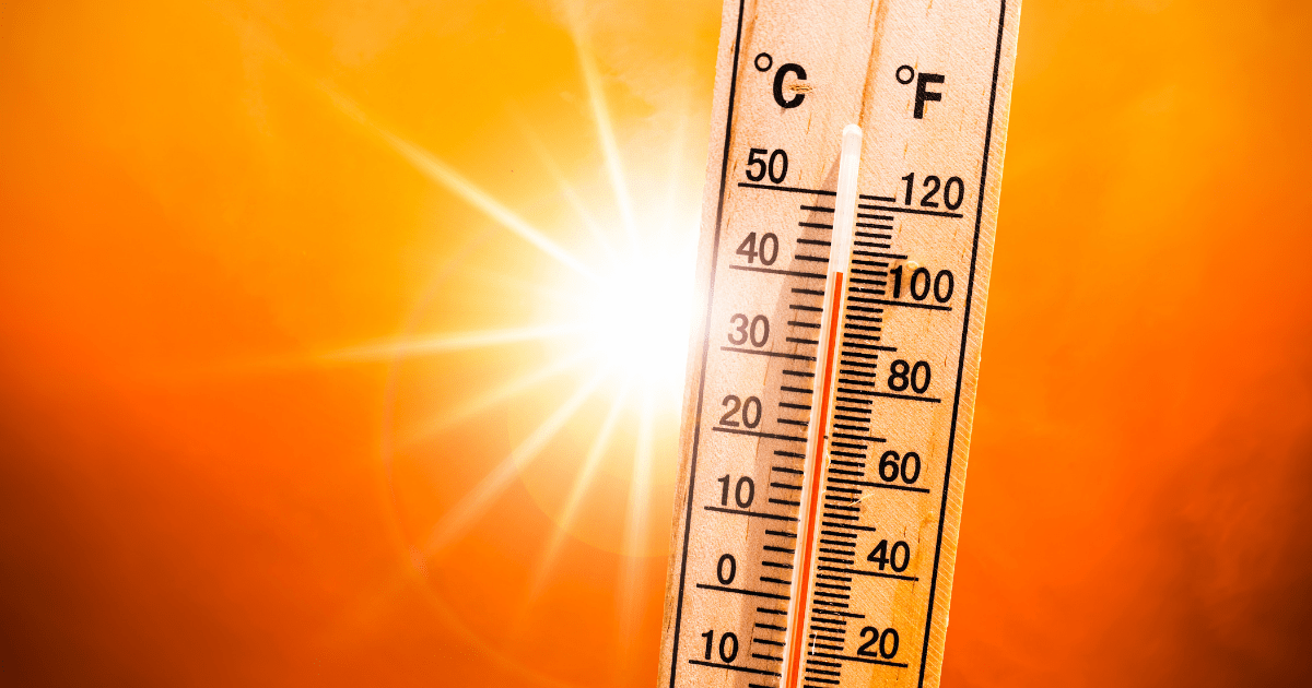 Ola de calor 2026 en México: