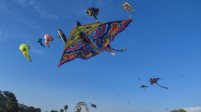 Festival de papalotes