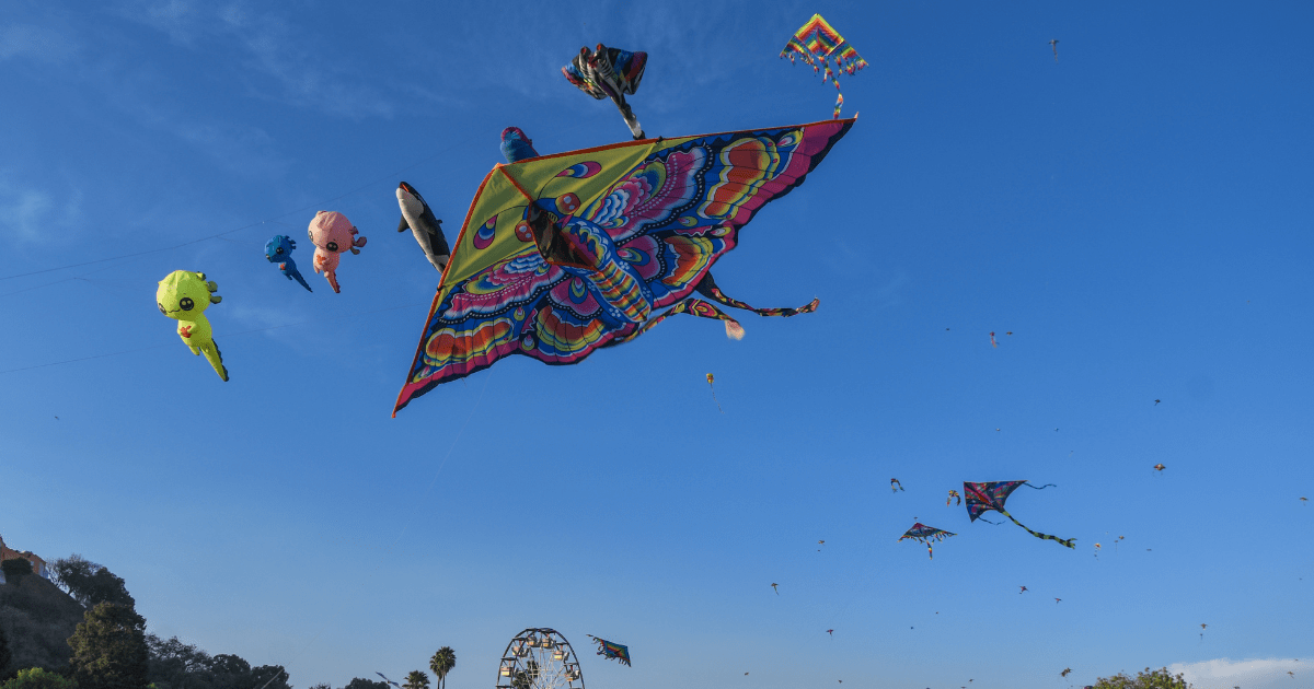 Festival de papalotes