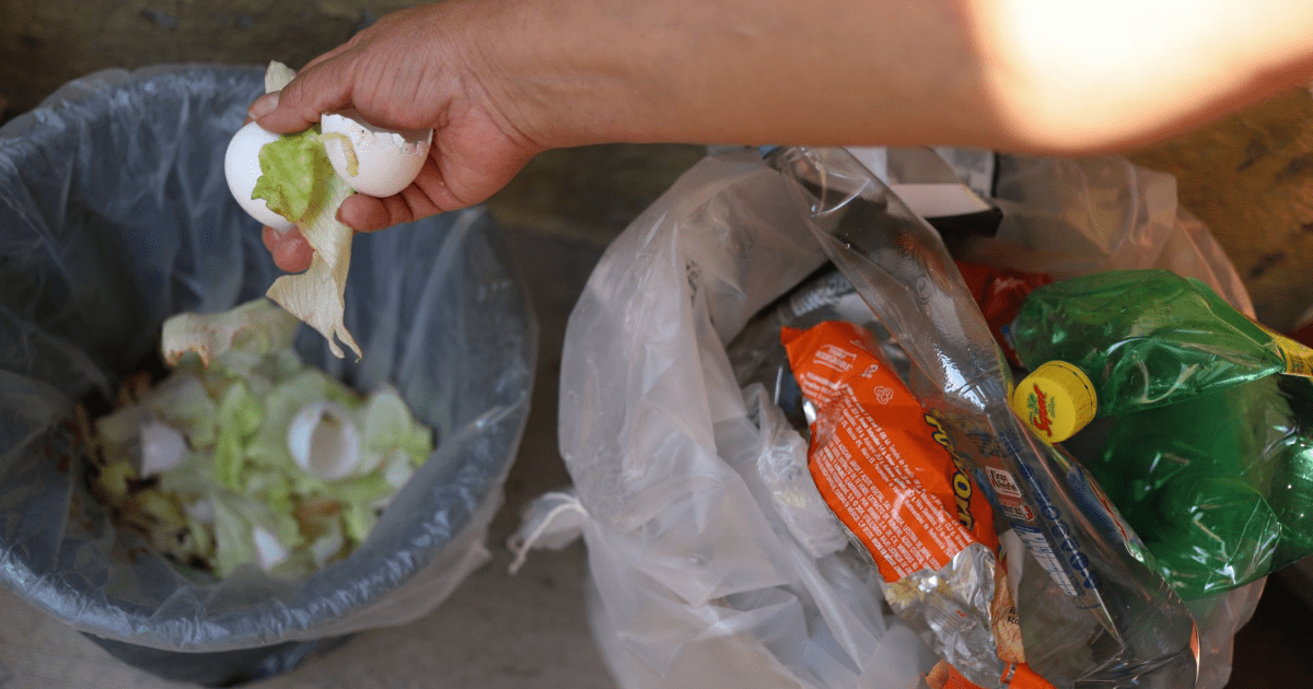 Separación de basura